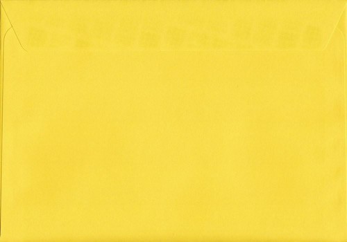 Canary yellow 162mm 229mm - canary, x