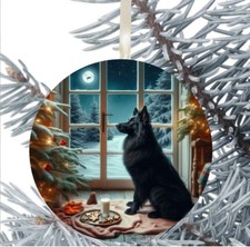 Belgian Shepherd Dog Hanging