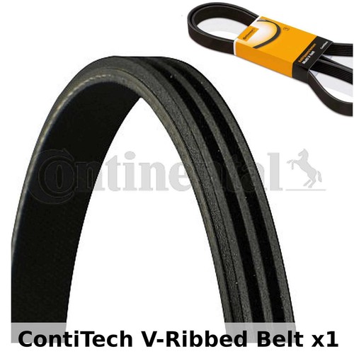 Contitech ribbed belt - belt,