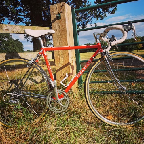 Pinarello treviso eroica - treviso, l'eroica