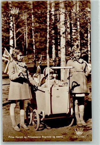 10732626 norway prince - -,