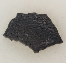 Hadrosaur Egg Shell Fossil -