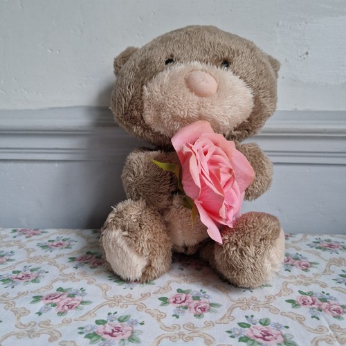 Hugs teddy bear with - hugs, rose