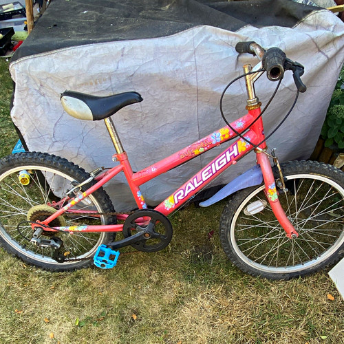 Raleigh sunbeam girls - raleigh,