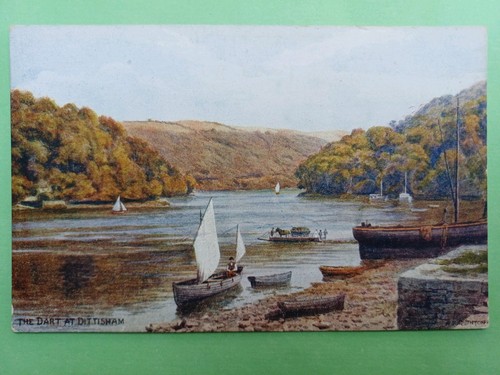 Post card salmon quinton - card,