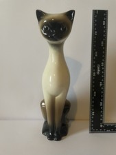 Rare Vintage Siamese Cat