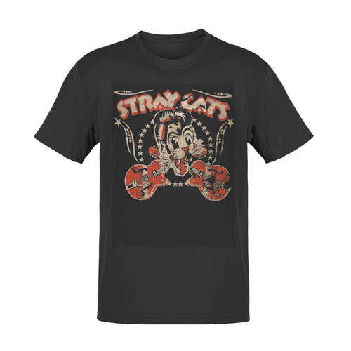 Stray cats music concert - cats,