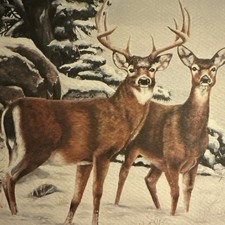 Vtg Christmas Card Unused Deer