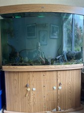 4ft Aquarium 48”x30”x18” bow front stand Oase thermo filter JBL CO2 and more 