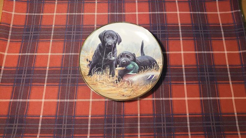 Beginners luck plate - beginners',