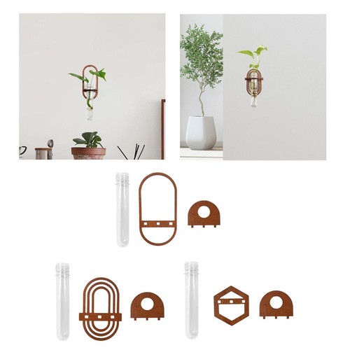Hydroponic vase ornament wall - ornament,
