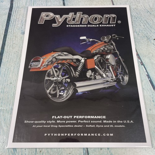 2010 python motorcycle - motorcycle, dual