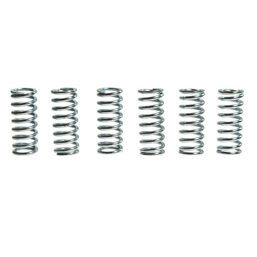 Trw piece clutch spring kit - piece,