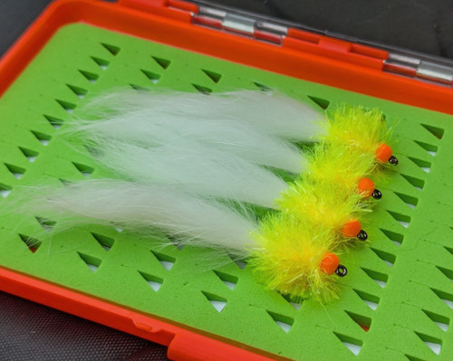 Cats whisker winter fly - cats,