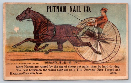 1881 putnam nail harness - putnam,
