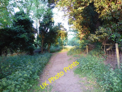 Photo 6x4 footpath leading - leading, to
