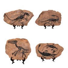 Resins Dinosaur Fossils Statue
