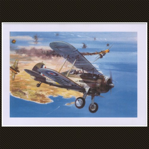 Gloster gladiator biplane - gladiator,