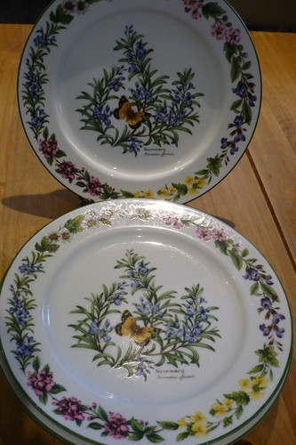 Royal worcester herbs 10 - herbs, x