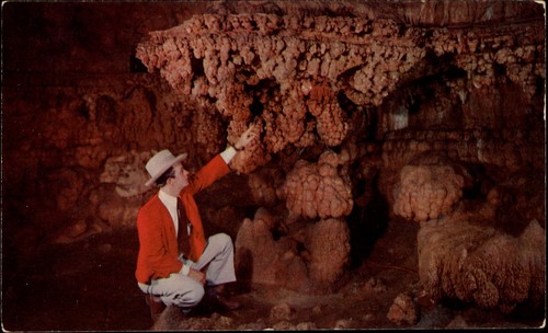 Grape vineyard meramec caverns - meramec,