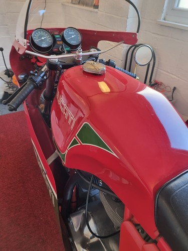 Ducati mike hailwood replica - ducati,