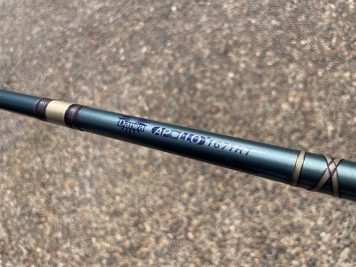 Big game daiwa apollo - game,