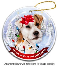 All Wrapped Up Ornament -