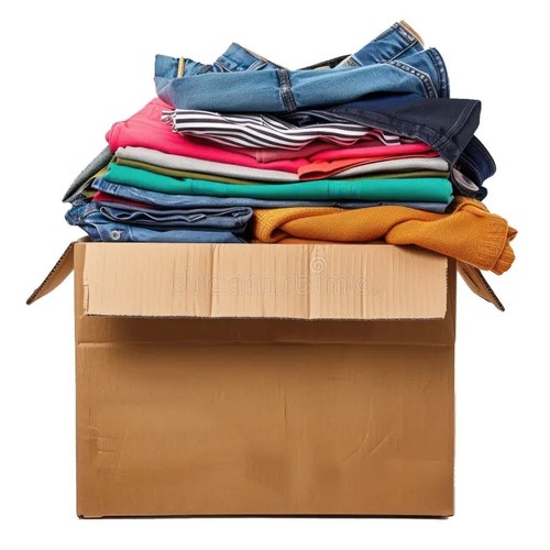 Womens bulk clothing lot - lot, 50