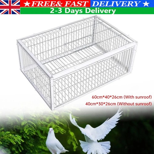 Pigeon trap cage - trap, single