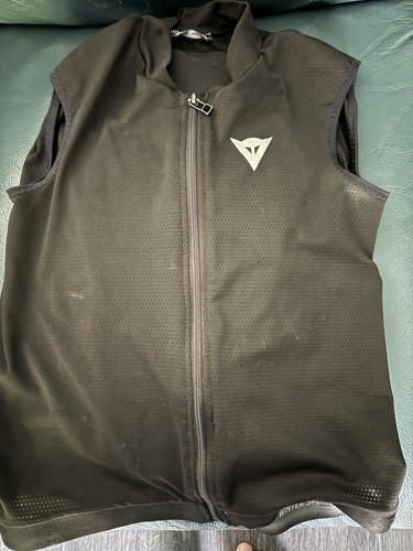 Dainese winter sports back - dainese,