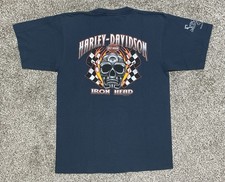 2009 Harley Davidson Skull
