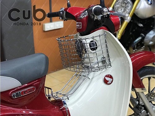 Basket guard leg shield - +,