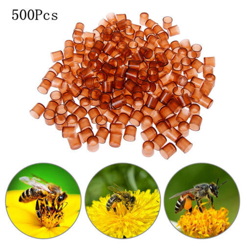 500pcs queen rearing system - rearing,