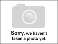 Two stroke petrol lawn edger