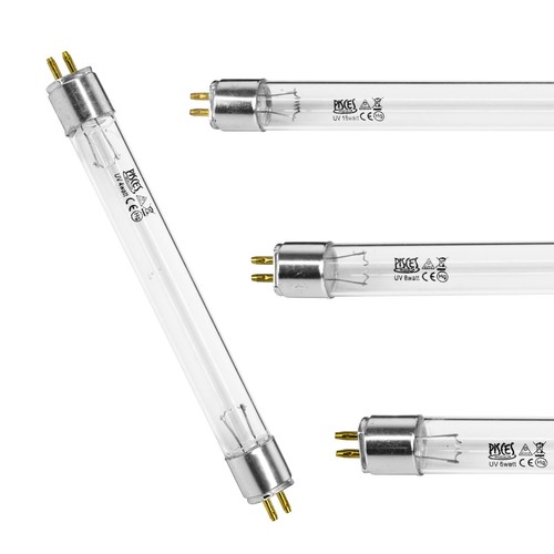 Replacement bulb evolution - bulb,