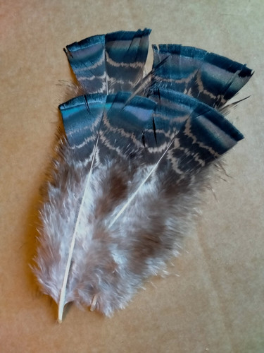 Fly tying native crafts - fly,