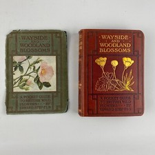 Wayside & Woodland Blossoms