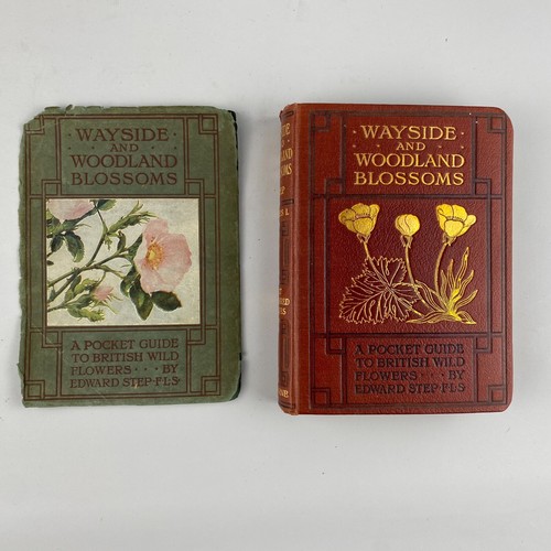 Wayside woodland blossoms - wayside,
