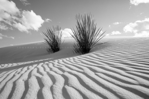 White sands photography print - photography,