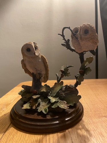 Country artists barn owl - artists, with