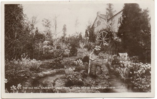401 real photo - photo, old