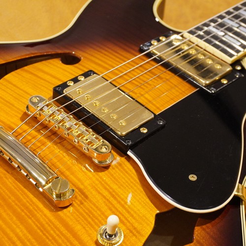 2200 acoustic guitar - acoustic,