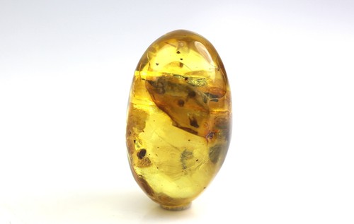 Natural baltic amber stone - baltic,