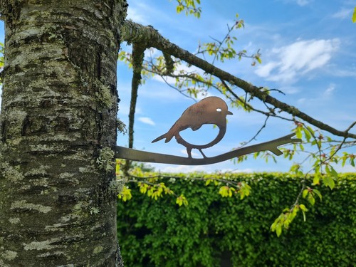 Metal robin branch bird - branch,