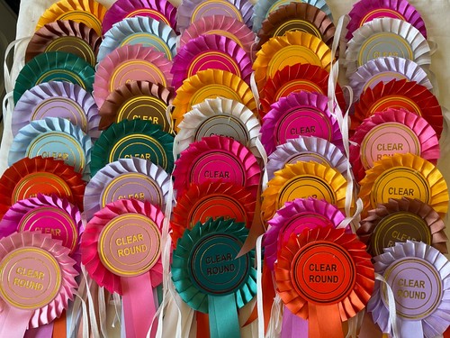 Clear round rosettes - clear,