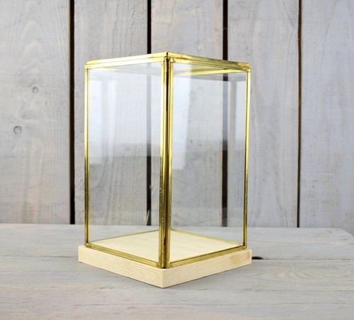 Glass and brass display - brass,