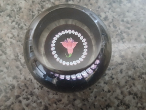Caithness paperweight fuchsia
