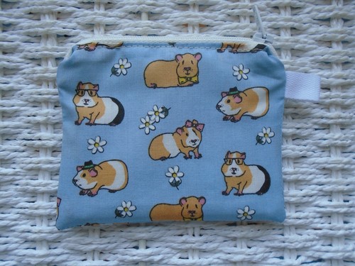 Baby blue guinea - blue,