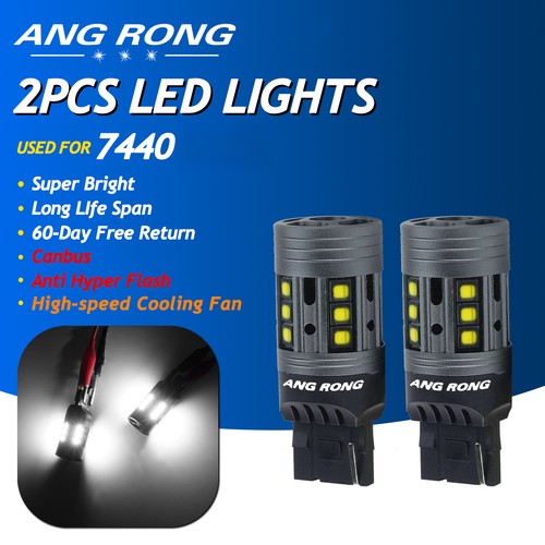 582 t20 7440 - t20,