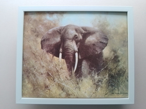 David shepherd print - david,